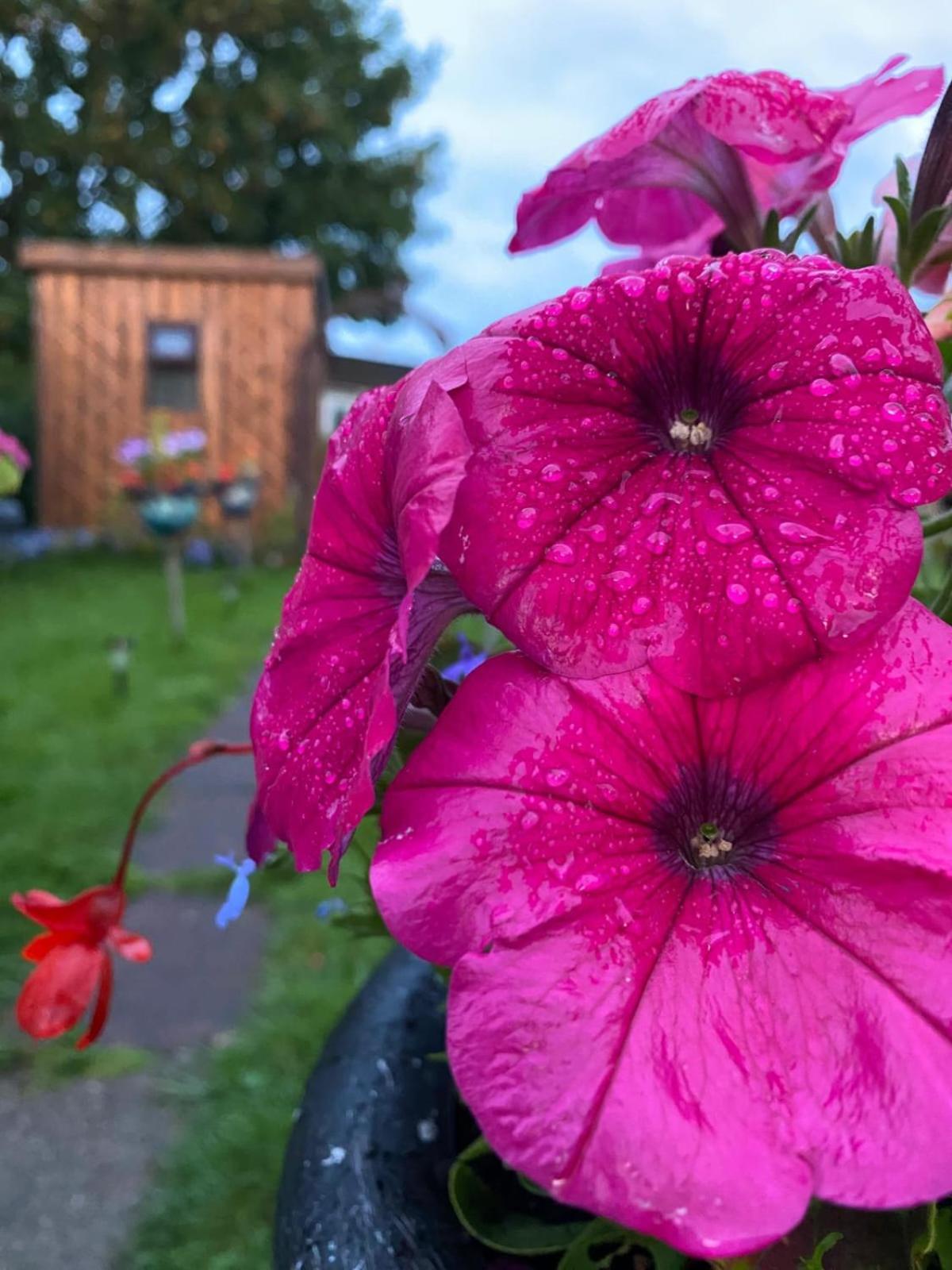Birds And The Bees Summer House Endon Bagian luar foto